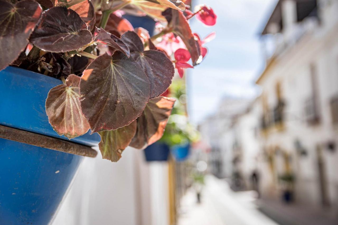 Seaclub Suites Estepona By Roomservices Exterior foto